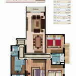 C Model
