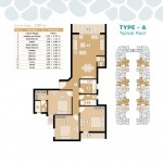 Type A