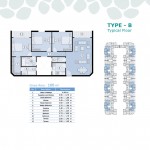 Type B