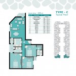 Type C