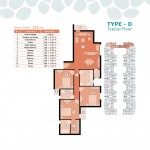 Type D